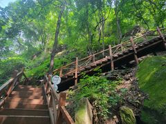 -大岭沟猕猴桃谷风景区