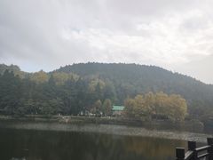 -庐山风景区花径公园