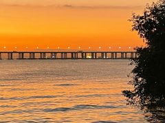 -宝安西湾红树林湿地公园