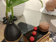 -Tian品