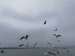 -蠡湖大桥公园