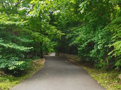 -大连天门山国家森林公园