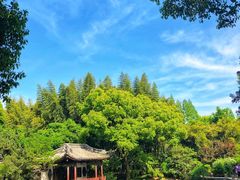 -汇龙潭