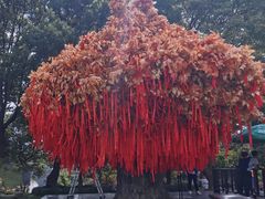 -狼山风景名胜区