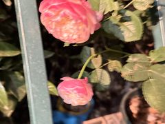 -火塘云南烧烤大排档