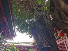 -叩齿古寺
