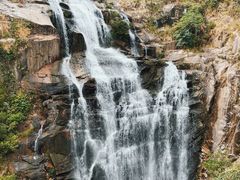 -海南热带雨林国家公园吊罗山景区