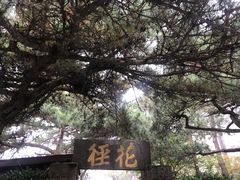 -庐山风景区花径公园