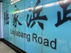 -陆家浜路(地铁站)