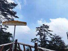 -瓦屋山景区