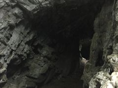 -百色大石围天坑群