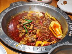 -成老灶火锅鸡(平山店)