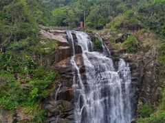 -海南热带雨林国家公园吊罗山景区