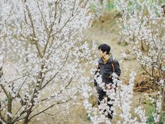 -樱桃山旅游景区