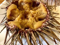 -海胆小馆(东北水饺·春柳店)