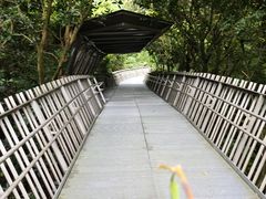 -福道