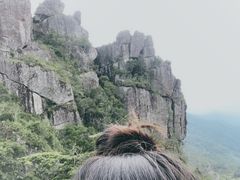 -七仙岭温泉国家森林公园