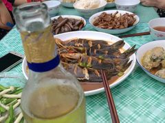 -小六农家乐(崇明西沙湿地店)