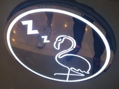 -狐狸和向日葵(北京路店)