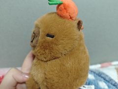 -太二酸菜鱼(上海佛罗伦萨小镇店)