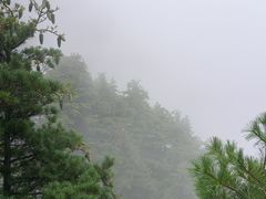 -秦岭天竺山生态文化旅游景区