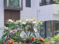 -渭滨公园