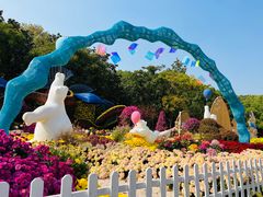 -上海共青森林公园