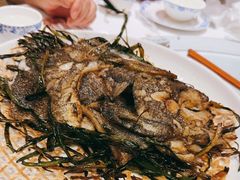 -老吉士酒家(天平路店)