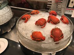 -武汉武昌威斯汀酒店-知味自助餐厅