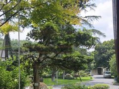 -浙江西子宾馆·瑶园咖啡厅