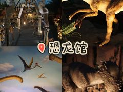 -中国西峡恐龙遗迹园