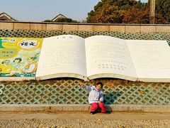 -观潮胜地公园