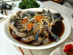 -煲来饱去冷水鱼