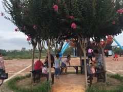 -武汉紫薇都市田园