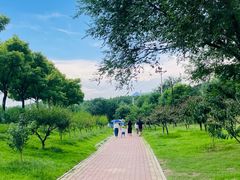 -白水寺森林公园