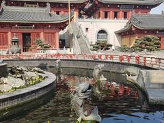 -上海东林寺(金山区)