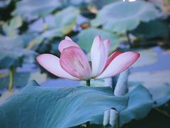 -祝甸砖窑文化馆