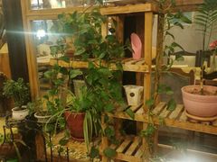 -Africafe(非洲咖啡)