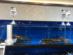 水产区-七鲜超市(万向城店)