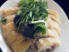 -文昌鸡饭店110号(中山路店)