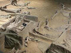 -洛阳周王城天子驾六博物馆