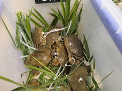 -爷爷的草帽·海鲜馆(孙塘路店)