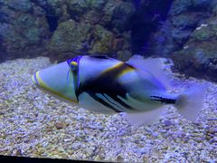 -郑州海洋馆