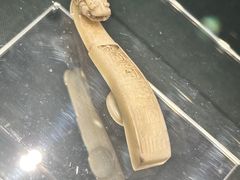 -嘉定博物馆