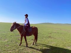 -额尔古纳黑山头绿野马帮骑马场