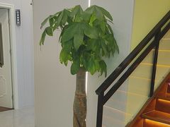 -益康盲人推拿按摩(长虹店)