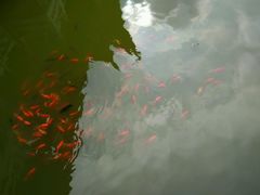 android_upload_pic-圆通禅寺