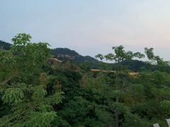 -梅峰山地公园
