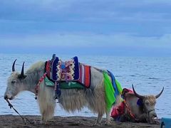 -青海湖国家重点风景名胜区
