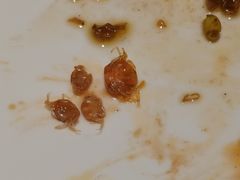 -艳阳天·非遗楚菜(武汉客厅店)